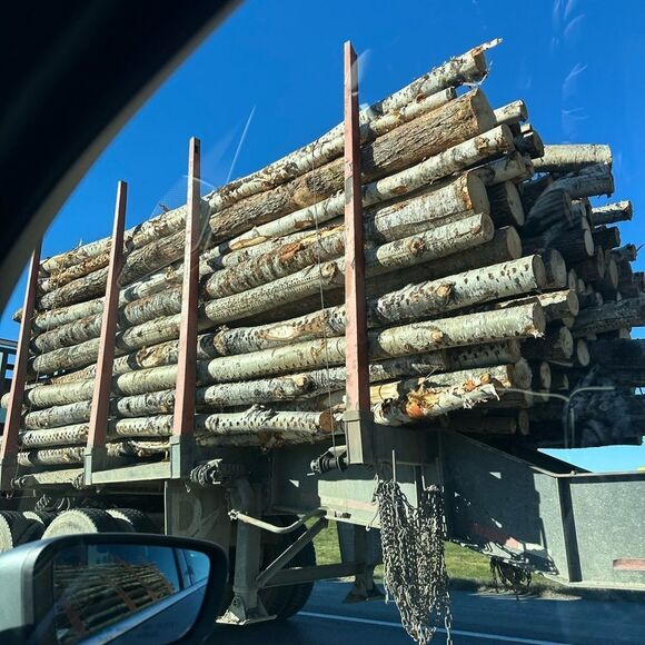 MAINE  - Picture 5 of 15